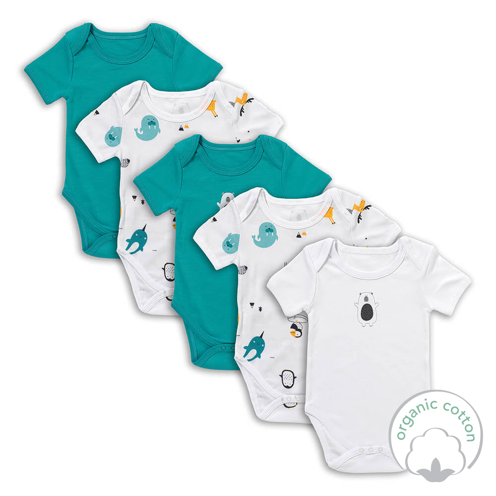Pack de 5 bodies para bebé manga corta de algodón orgánico_Amigos Polares_2_430